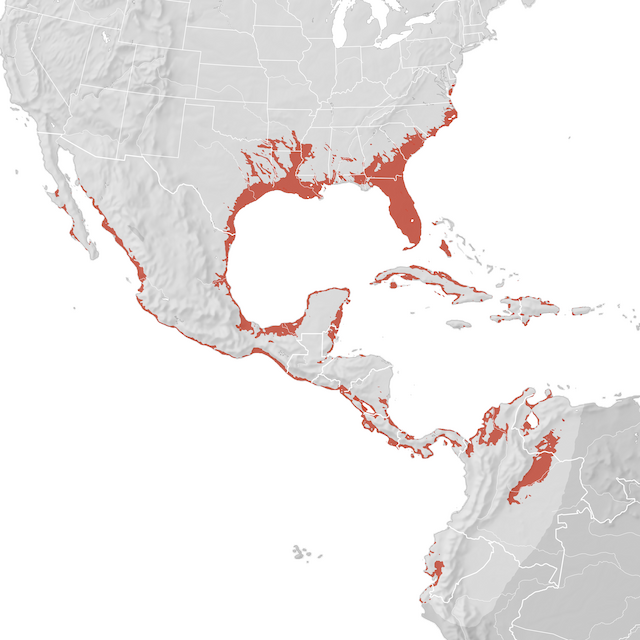 Mapa de distribuição