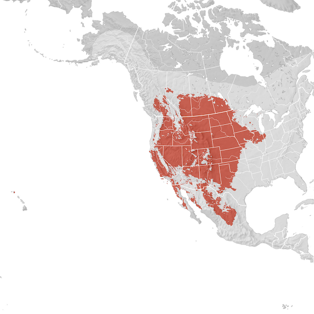 Carte de distribution