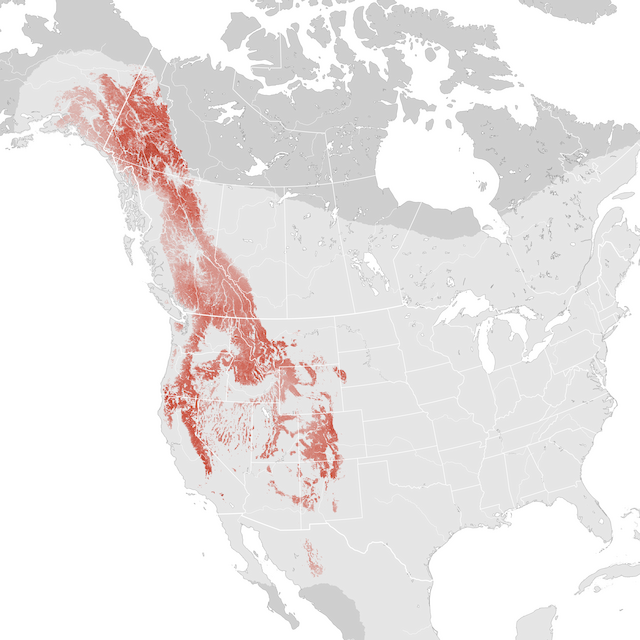 Abundance Map