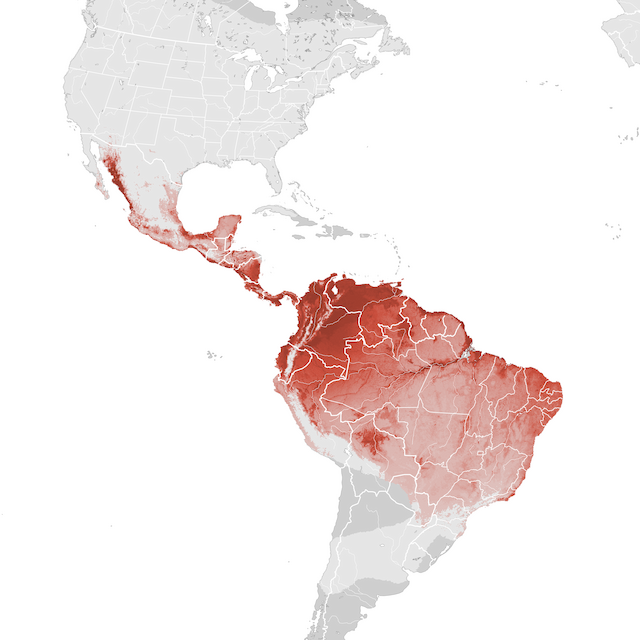 Abundance Map