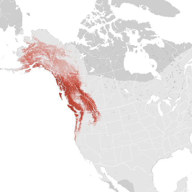 Abundance Map