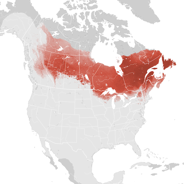 Abundance Map