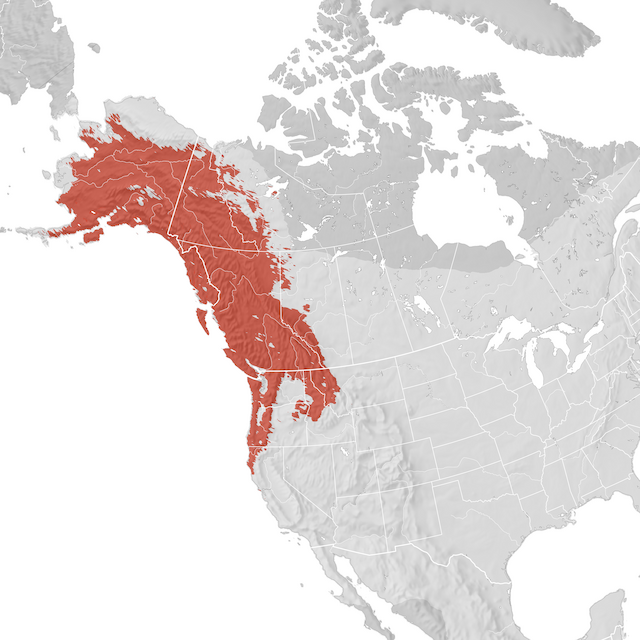 Mappa di distribuzione