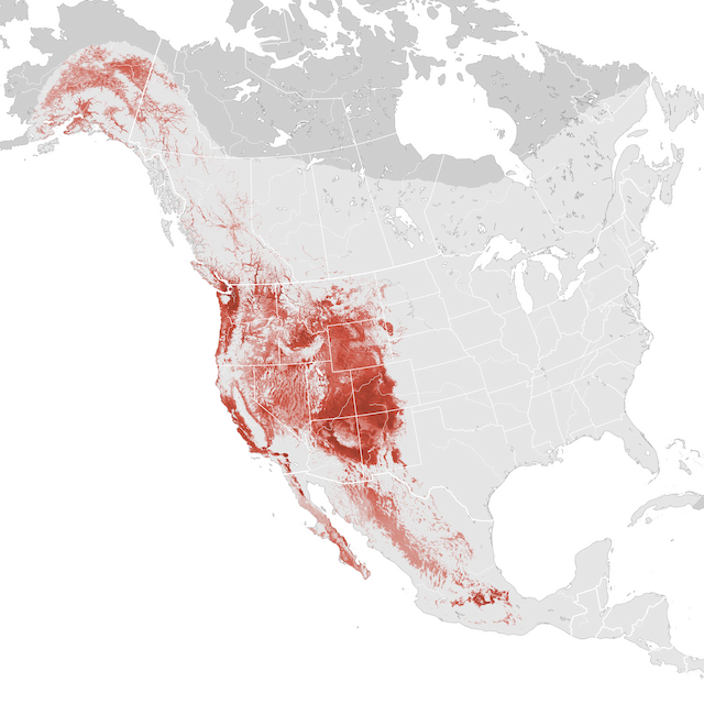 Mapa de abundancia