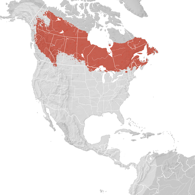 Range Map