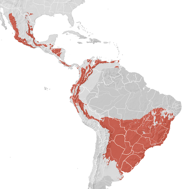 Mappa di distribuzione