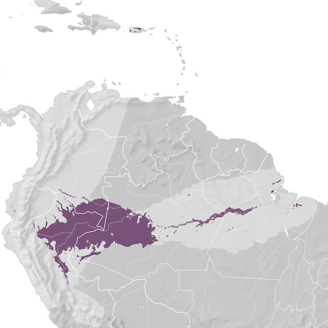 Mappa di distribuzione