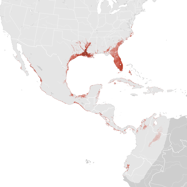 Ugaritasun mapa