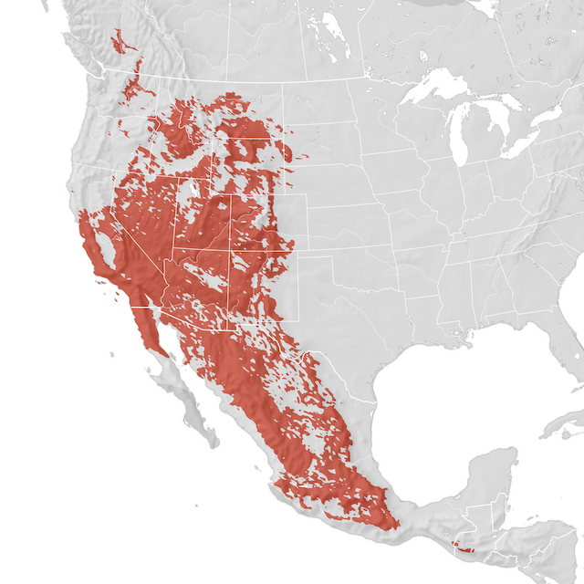 Range Map