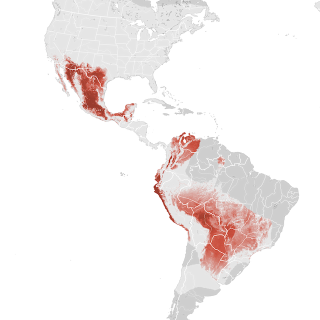 Abundance Map