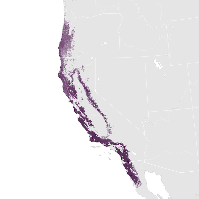 Mapa de Abundância