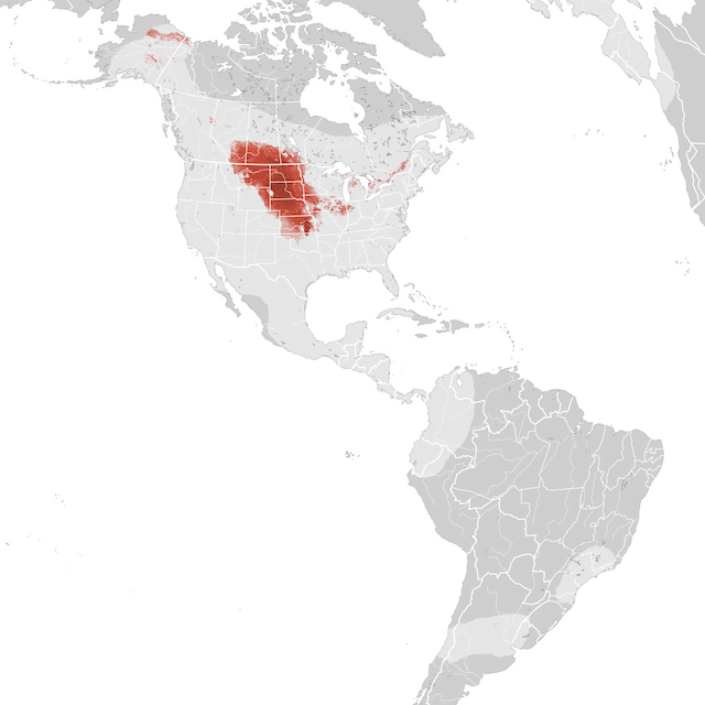 Abundance Map