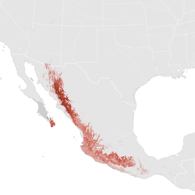 Mapa de abundancia