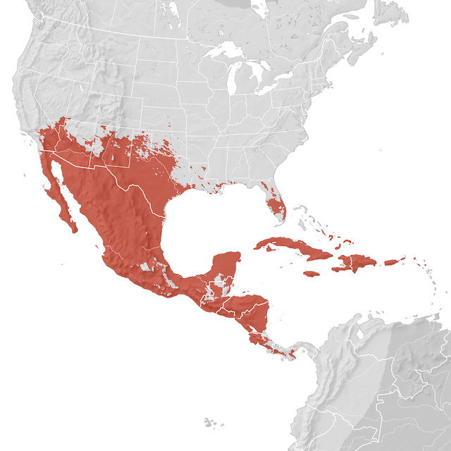 Mapa de distribuição