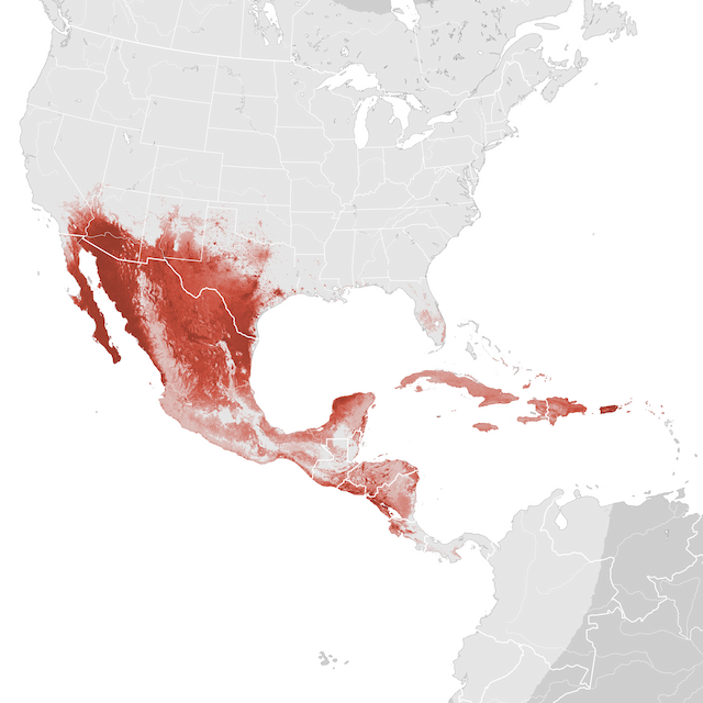 Mapa de Abundância