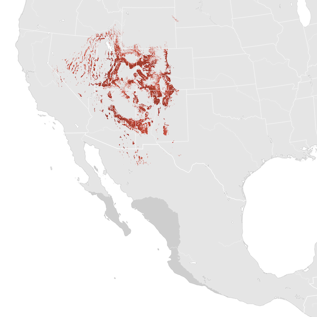 Abundance Map