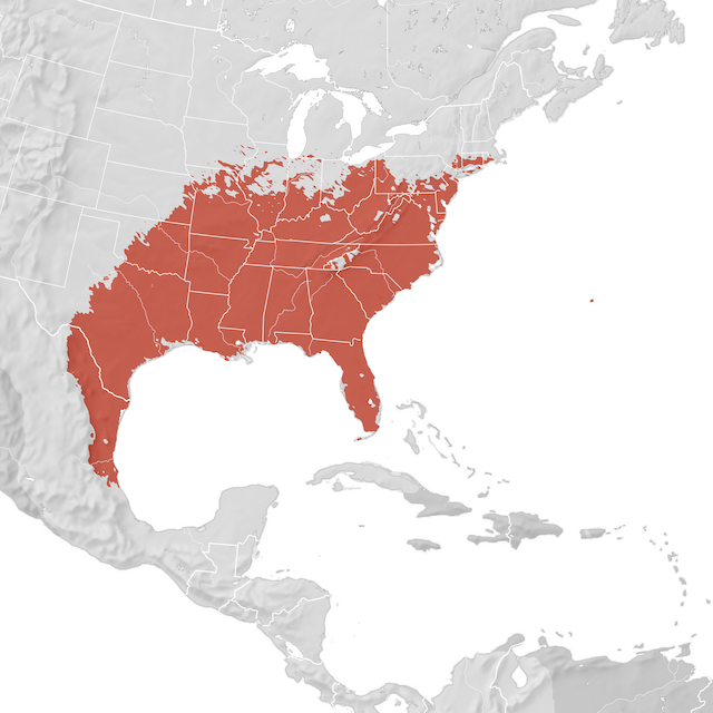 Mapa de distribuição