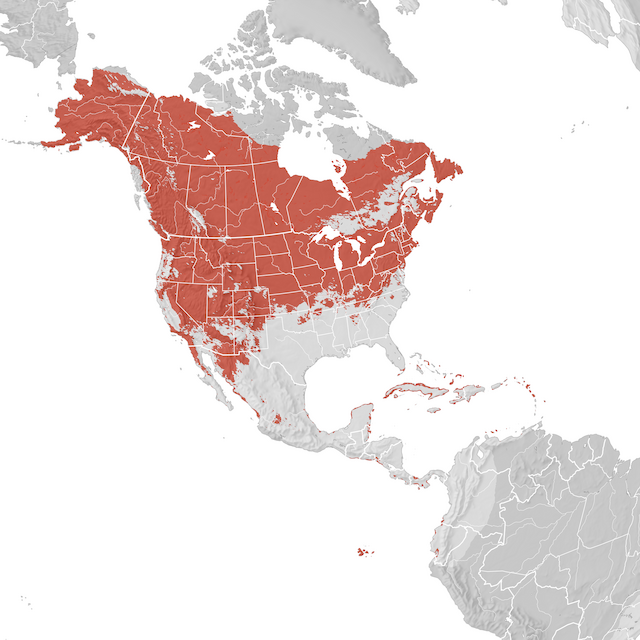 Mappa di distribuzione