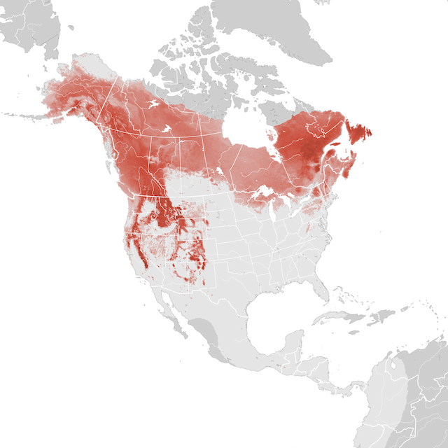 Mapa de abundancia