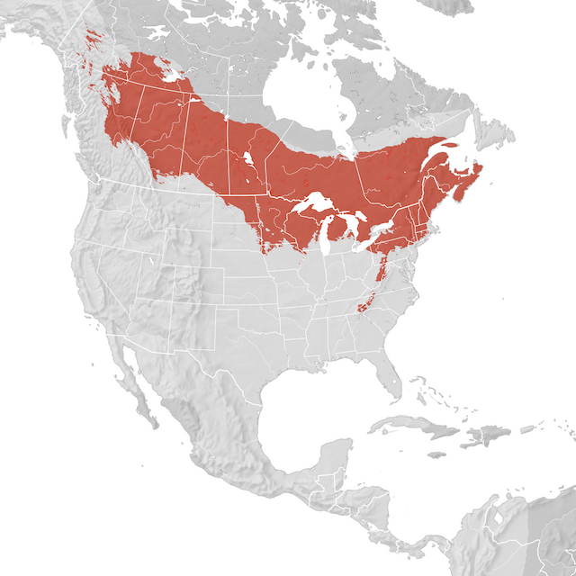 Range Map