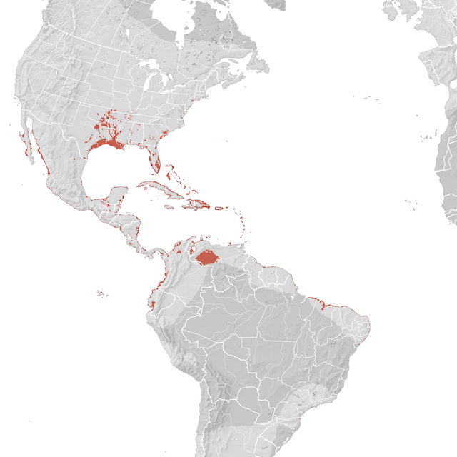 Mapa de Distribuição