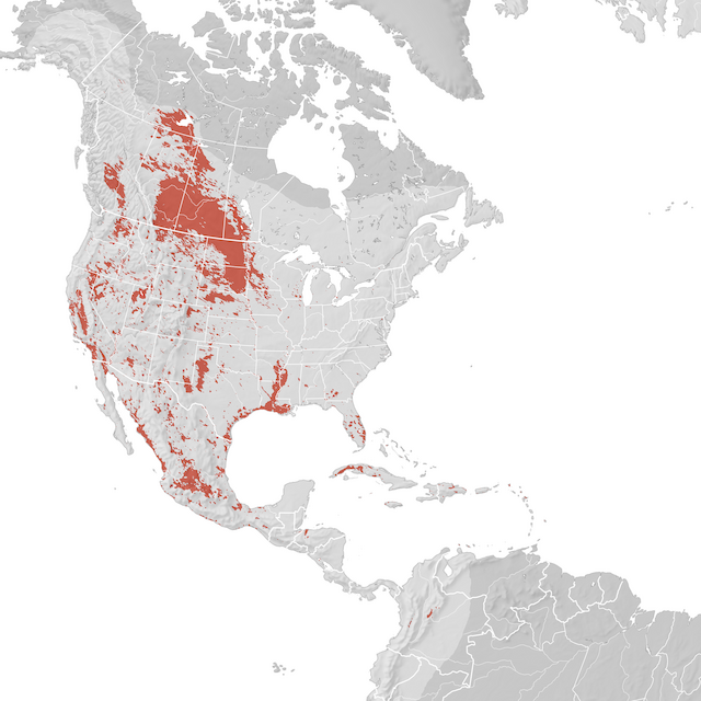 Range Map