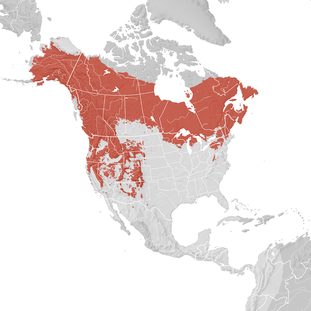 Range Map