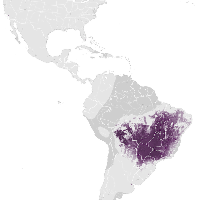 Mapa de abundâcia