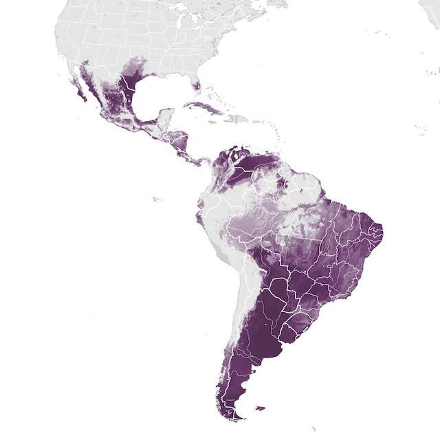 Abundance Map