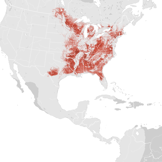 Mapa de abundancia