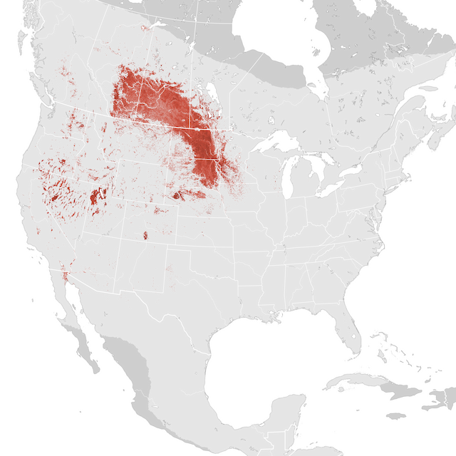 Abundance Map