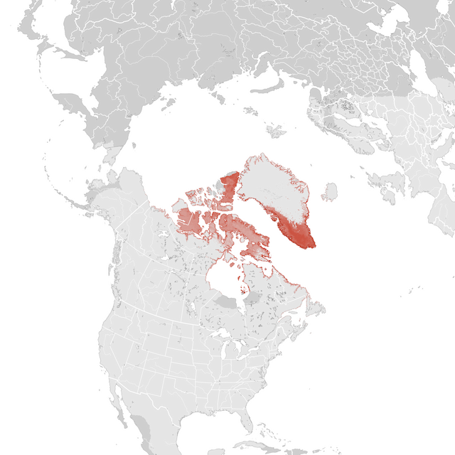 Mappa numerosità