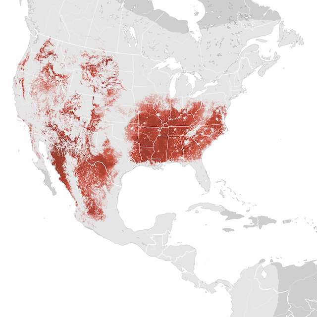 Mapa de abundancia