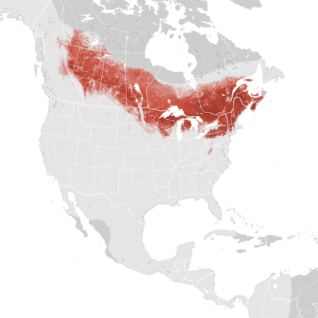 Abundance Map