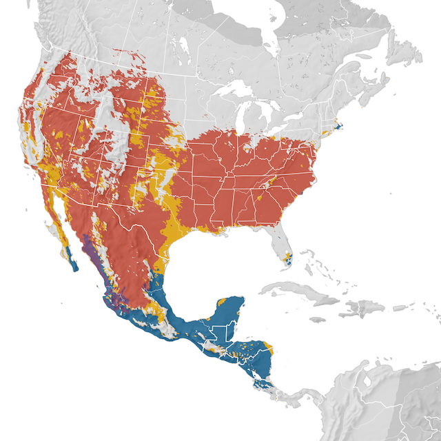 Mapa de distribuição