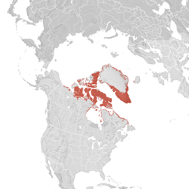 Mapa de Distribuição