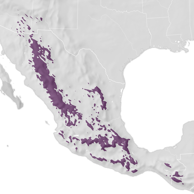 Mapa de distribuição