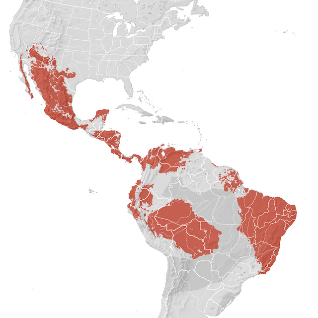 Banaketa-mapa