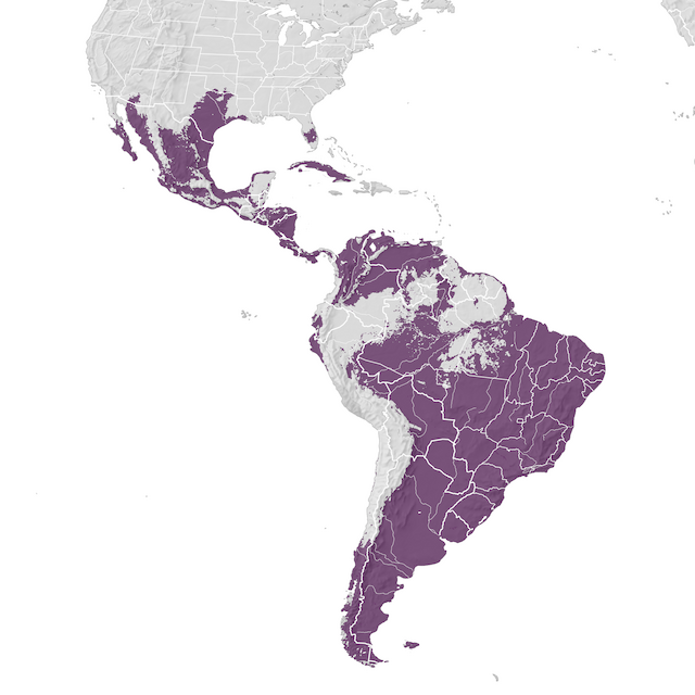 Carte de distribution