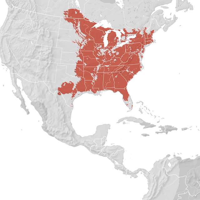 Mapa de Distribuição