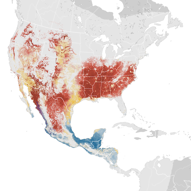 Abundance Map