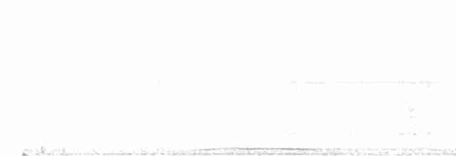 holub žlutozobý - ML610460357