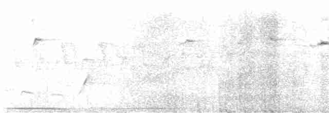 Дивоптах-шилодзьоб чорний - ML610460528