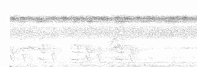 Биакский райский зимородок - ML610460952