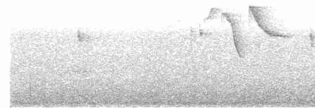 White-browed Brushfinch - ML610461991