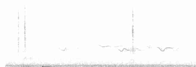 Colibri vesper - ML610462822