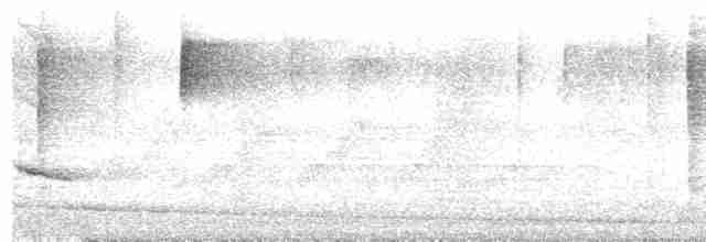 Дрізд-короткодзьоб плямистоволий - ML610462846