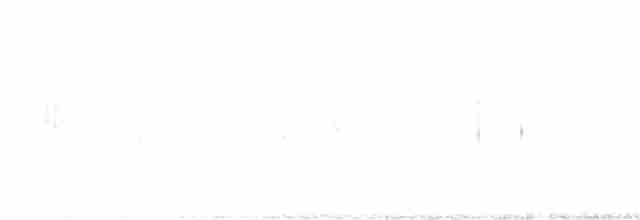 Common Chiffchaff (Siberian) - ML610466128