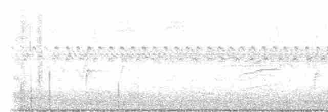 Hermit Thrush (faxoni/crymophilus) - ML610473015