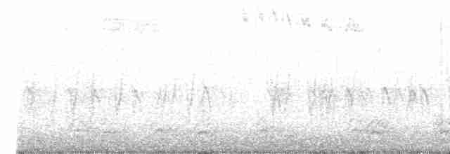Red Crossbill (Western Hemlock or type 3) - ML610475268